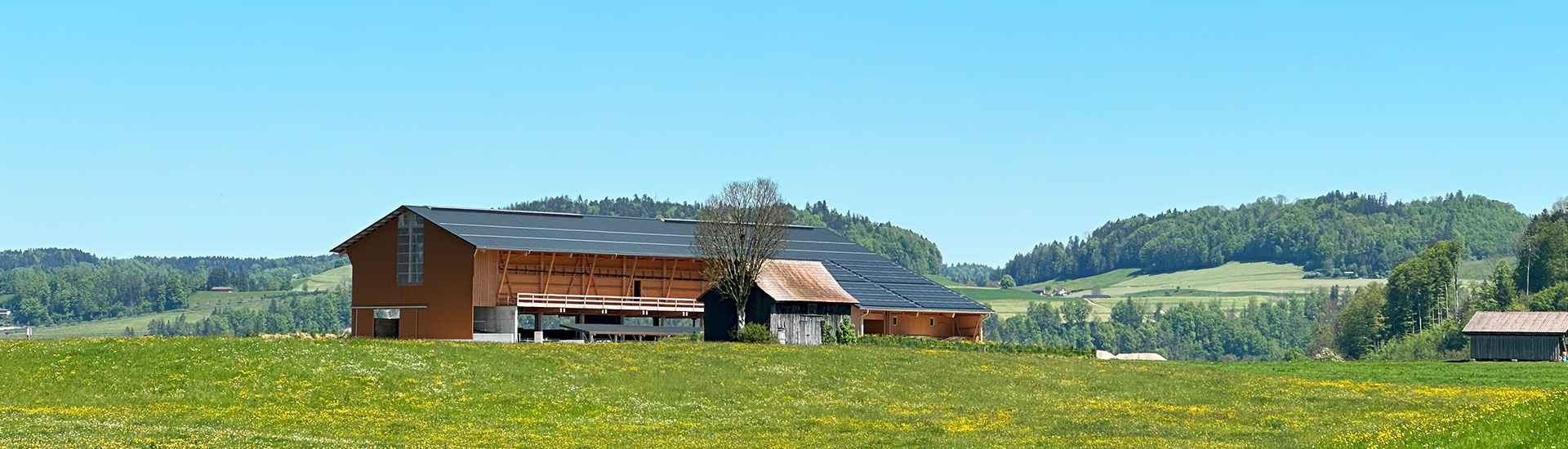 Bild neuer Stall in Bütschwil