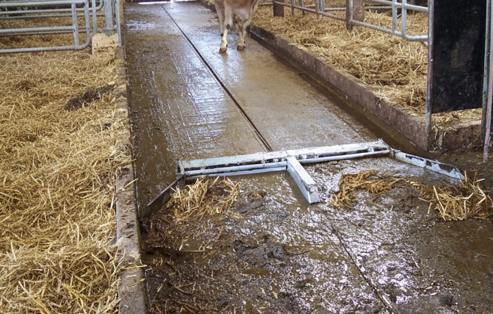 Entmistung / Schieber